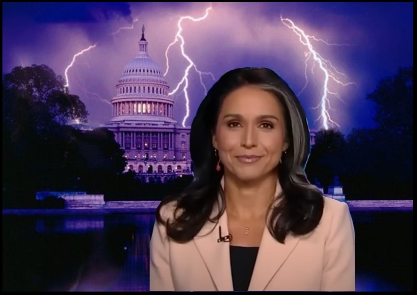 theconservativetreehouse.com