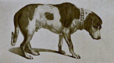 en.wikipedia.org